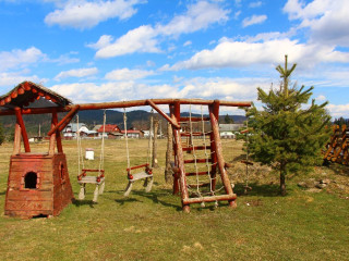 Inima Bucovinei ( Frasin)