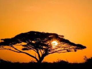 Safari Amboseli-Tsavo (3 nopti) + Diani Reef Beach (4 nopti)