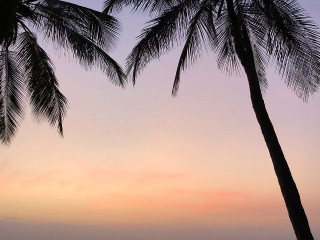 Kenya Bay Beach Hotel