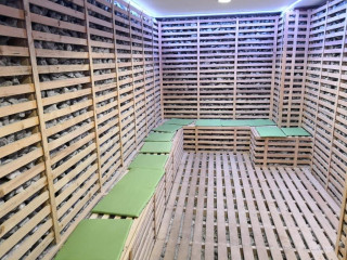 Best Western Bucovina