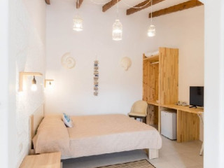 Bivalvia Beach Plus