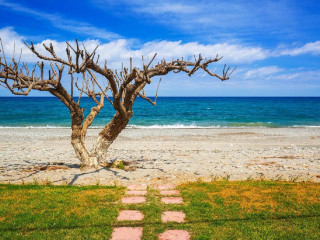 Olivia Aparthotel (K)