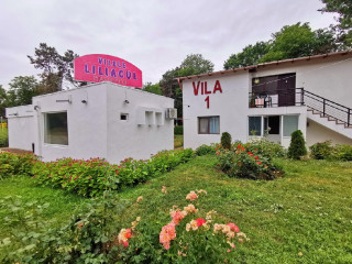 Liliacul