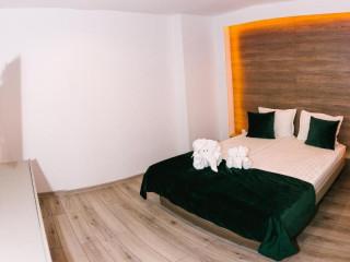 Vila URSUL NEGRU CMP