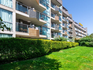 EXCELSIOR GOLDEN SANDS