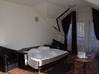 Club Vila Bran - Vila 1