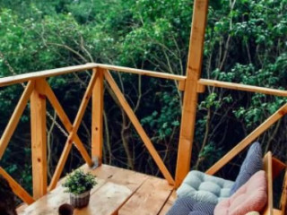 Cabana Transylvania Tree House (Pesteana)