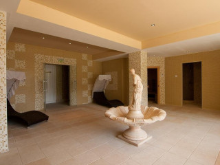 Complex Bran Brad Bega