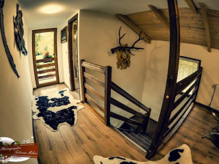 Cabana Stangau (Borsa)