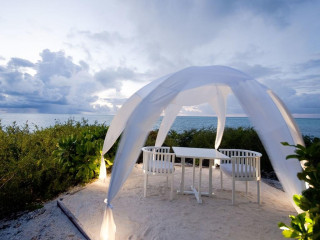 Cinnamon Hakuraa Huraa