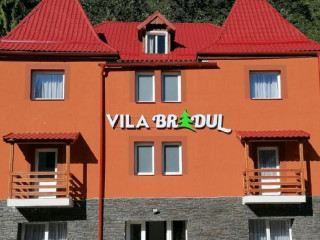 Vila Bradul