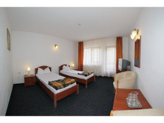 Hotel Paltinis