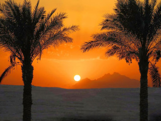 PREMIER LE REVE HOTEL SPA ( ADULT ONLY ) 5*