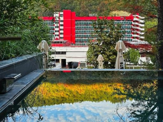 . Hotel Bucura