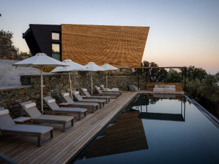 Five Olive Dream - Plomari