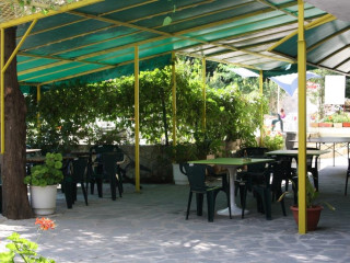 WARSHAVA SUNNY