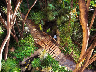 Botanico The Oriental Spa Garden