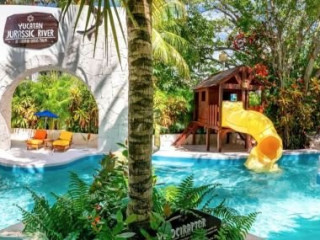 Grand Oasis Palm