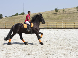 Pensiunea Sarea-n Bucate