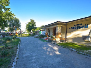 COMPLEX MEDITERANEAN