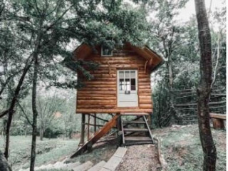 Cabana Transylvania Tree House (Pesteana)