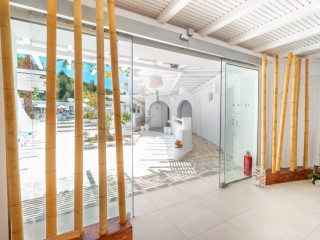 Aloe - Adults Only 18+ (D)