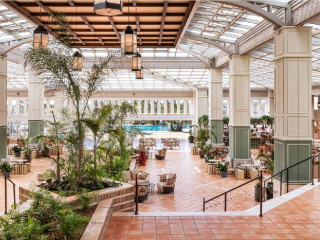 MELIA ISLA CANELA  (R)