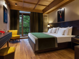 Hotel Bradul 