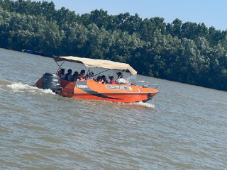 PENSIUNEA LA FELINARE