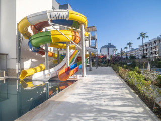 GRAND KOLIBRI PRESTIGE.