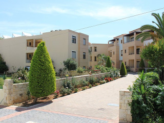 Creta Palm (K)