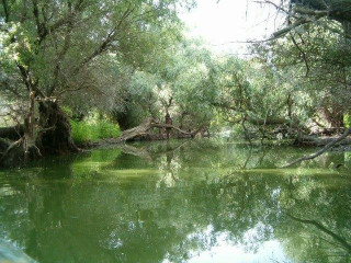 Mini Croaziera / Hotel Plutitor