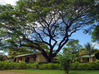 Anelia Resort