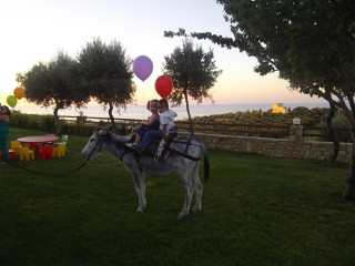 Carme Villas Resort (C)