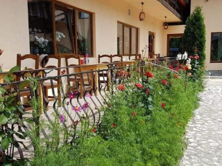 Pensiunea Steaua Ariesului 