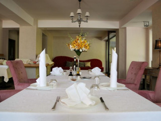 Oblique - Forest and Spa