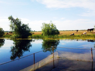 DANUBE DELTA RESORT (CRISAN)