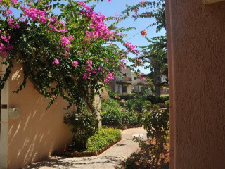 Sun Connect Zorbas Village