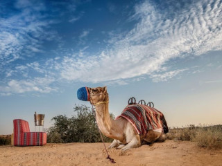 Al Wadi Desert Ras Al Khaimah By Ritz Carlton