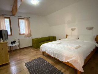 Pensiunea Mina Cavnic (Cavnic)