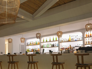 Andronikos - Adults Only 16+