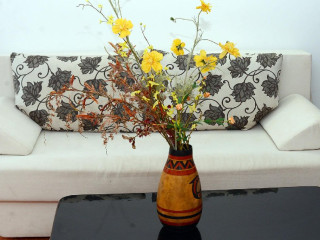 COMPLEX PALOMA CORAL