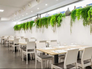 Alegria Mariner (R) - Adults only 16+