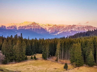 Pensiunea Plai cu Dor Fundata