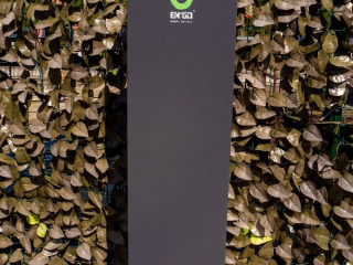 Complex Pescaresc Gura Repezii CM