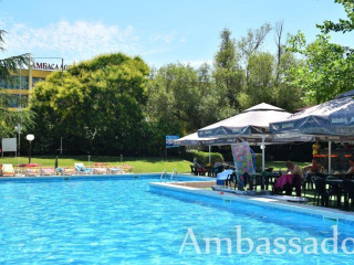 AMBASSADOR (GOLDEN SANDS)