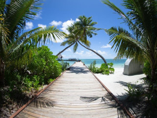 Canareef Resort Maldives