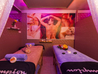 KLEOPATRA ROYAL PALM.