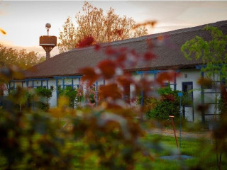 COMPLEX TURISTIC EDEN - GURA PORTITEI