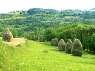 Tur Maramures Bucovina 4 nopti cu mijloc propriu de transport